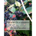 Growing Blackberries