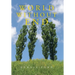 World Without End