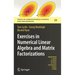 Exercises in Numerical Linear Algebra and Matrix Factorizations