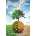 The Touch of Grace: One-Minute Nuggets for Emotional Healing and Inspiration