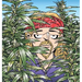 The Weed Whisperer: A Doonesbury Book Volume 36