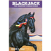 Blackjack: The Champion Morgan Horse