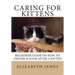 Caring for Kittens: Beginners Guide on How to look after a Kitten