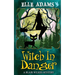 Witch in Danger
