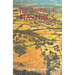 The Battle of Hastings: Sources and Interpretations