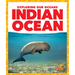 Indian Ocean