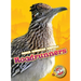 Roadrunners