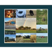 A Year on the Farm