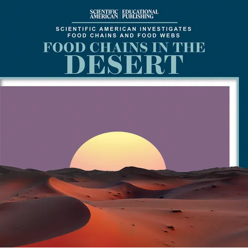 Food Chains in the Desert