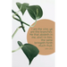 General Worship Bulletin: Much Fruit (Package of 100): John 15:5 (Kjv)