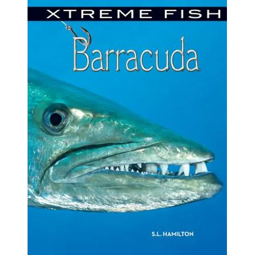 Barracuda