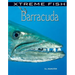 Barracuda