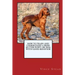 How to Train and Raise a Irish Setter Puppy or Dog with Good Behavior