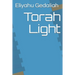 Torah Light