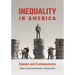 Inequality in America: Causes and Consequences
