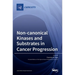 Non-canonical Kinases and Substrates in Cancer Progression