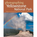 Photographing Yellowstone National Park: Where to Find Perfect Shots and How to Take Them