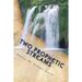 Two Prophetic Streams: ''the Prophet and the Seer''