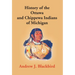 History Of The Ottawa And Chippewa Indians Of Michigan: A Grammar Of Their Language, And Personal And Family History Of The Author