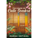 The House on Calle Sombra - A Parable
