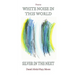 White Noise in This World Silver in the Next