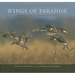 Wings of Paradise: Birds of the Louisiana Wetlands