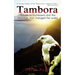 Tambora