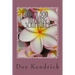 Over 500 Healing Scriptures