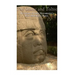 The Olmec and Toltec: The History of Early Mesoamerica's Most Influential Cultures