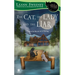 The Cat, the Lady and the Liar