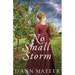 No Small Storm