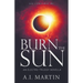 Burn the Sun
