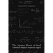 The Square Root of God: Mathematical Metaphors and Spiritual Tangents