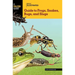 Basic Illustrated Guide to Frogs, Snakes, Bugs, and Slugs