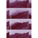 Memorious Earth: A Longitudinal Study