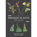 Pressed Plants: Making a Herbarium