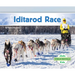 Iditarod Race
