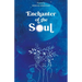 Enchanter of the Soul