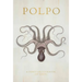 Polpo: A Venetian Cookbook (of Sorts)