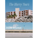 The Blurry Years