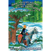 Sir Gawaine and the Green Knight: The Quest