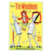 The Tin Woodman of Oz