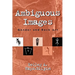Ambiguous Images: Gender and Rock Art