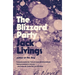 The Blizzard Party