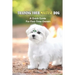 Training Your Maltese Dog: A Quick Guide For First-Time Owners: How To Potty Train A Maltese