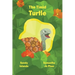 The Timid Turtle