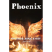 Phoenix: The Crash, Burn, & Rise