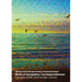 Birds of Sympathy: Correspondences