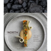 North: The New Nordic Cuisine of Iceland [A Cookbook]