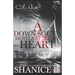A Down South Hustla Stole My Heart: An African American Women's Fiction Book